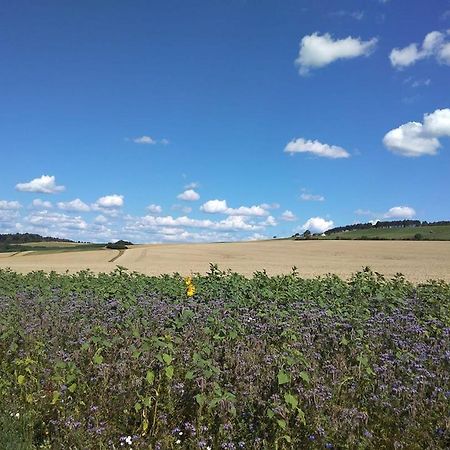 Obere Ferienwohnung Asshoff Zwischen Odenwald, Taubertal Und Bauland Berolzheim Exteriör bild