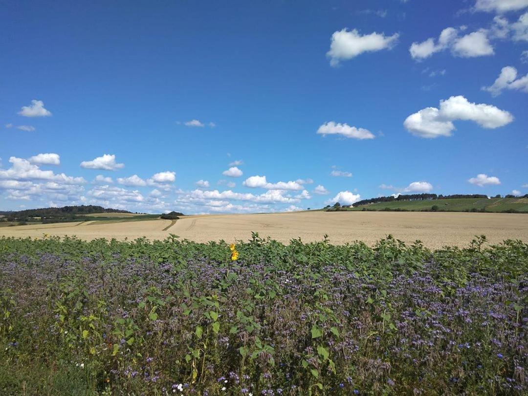 Obere Ferienwohnung Asshoff Zwischen Odenwald, Taubertal Und Bauland Berolzheim Exteriör bild
