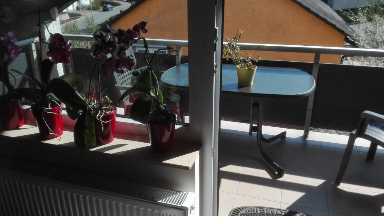 Obere Ferienwohnung Asshoff Zwischen Odenwald, Taubertal Und Bauland Berolzheim Exteriör bild